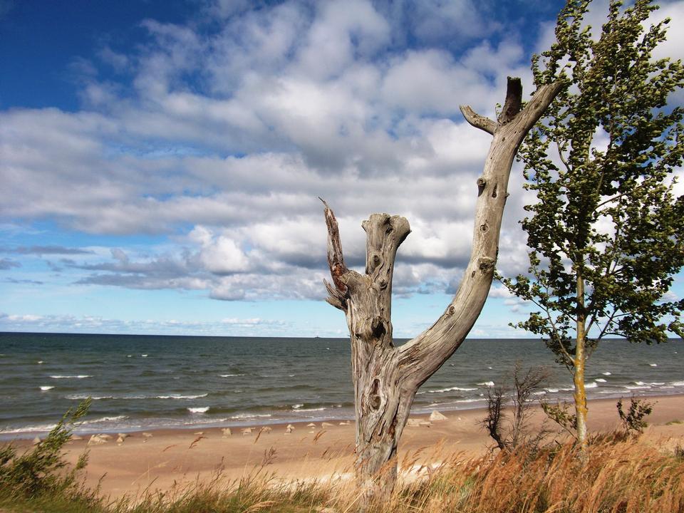 Free download high resolution image - free image free photo free stock image public domain picture  Baltic Sea at Kolka Cape