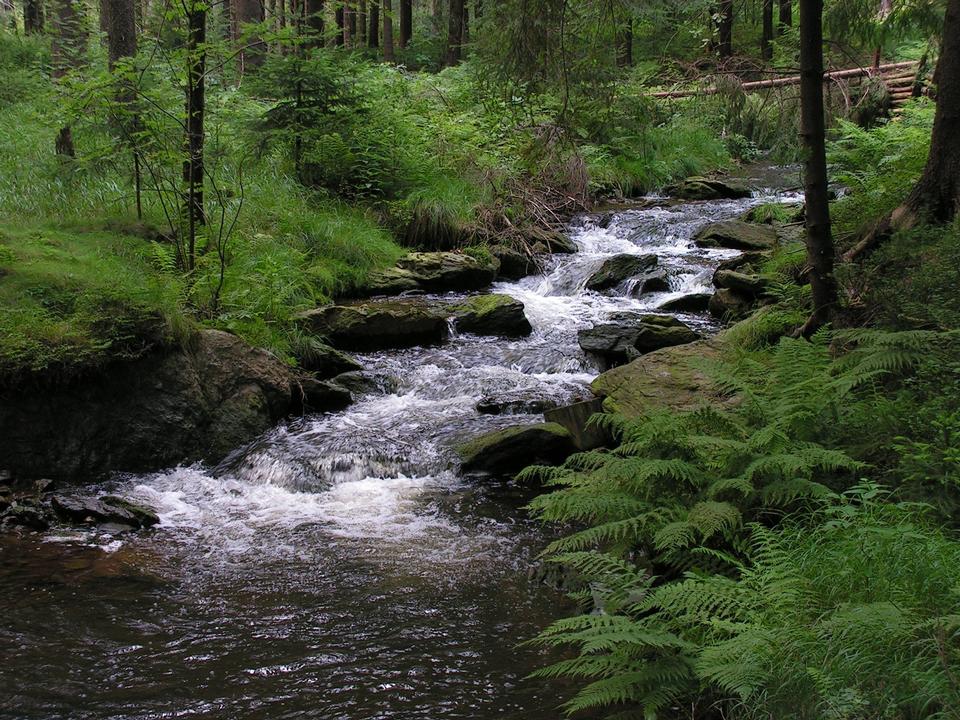 Free download high resolution image - free image free photo free stock image public domain picture  Cascade falls over mossy rocks