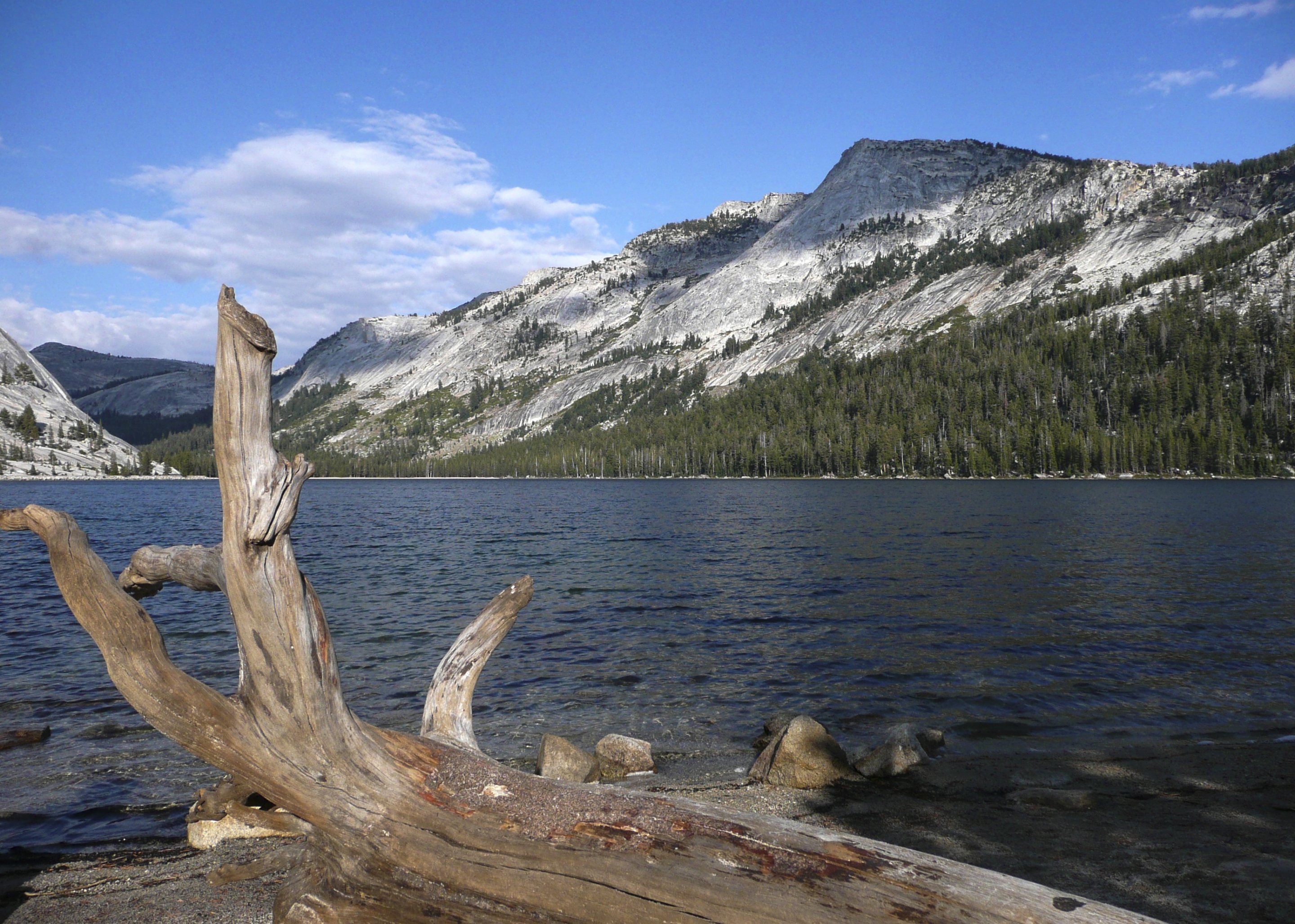 Free download high resolution image - free image free photo free stock image public domain picture -Yosemite National Park