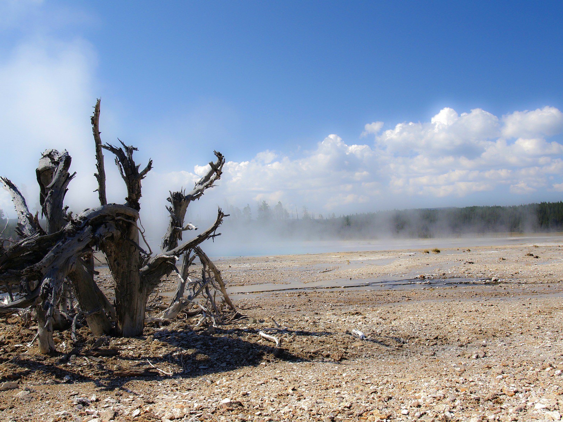 Free download high resolution image - free image free photo free stock image public domain picture -Yellowstone National Park Wyoming