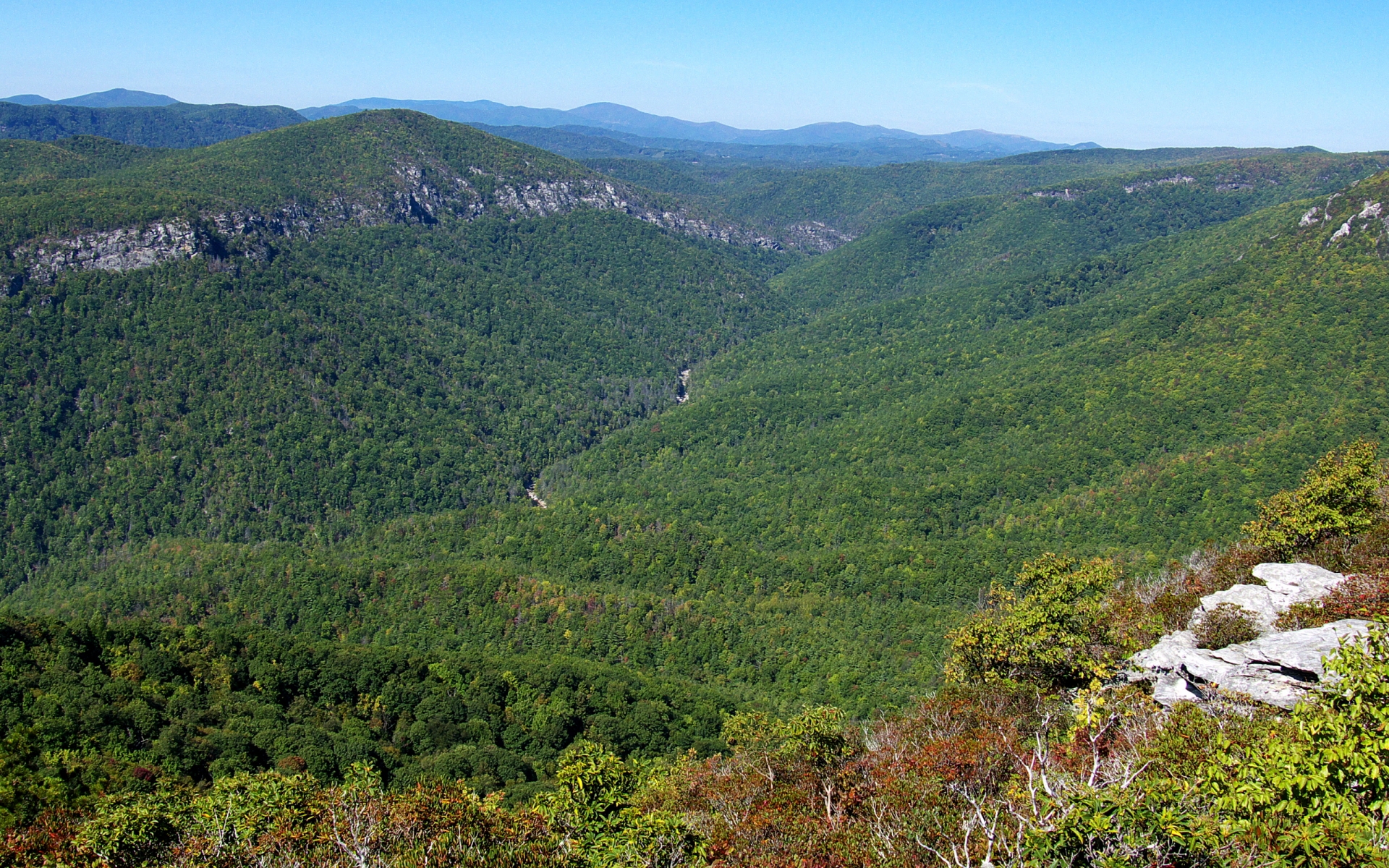 Free download high resolution image - free image free photo free stock image public domain picture -Linville Gorge Wilderness