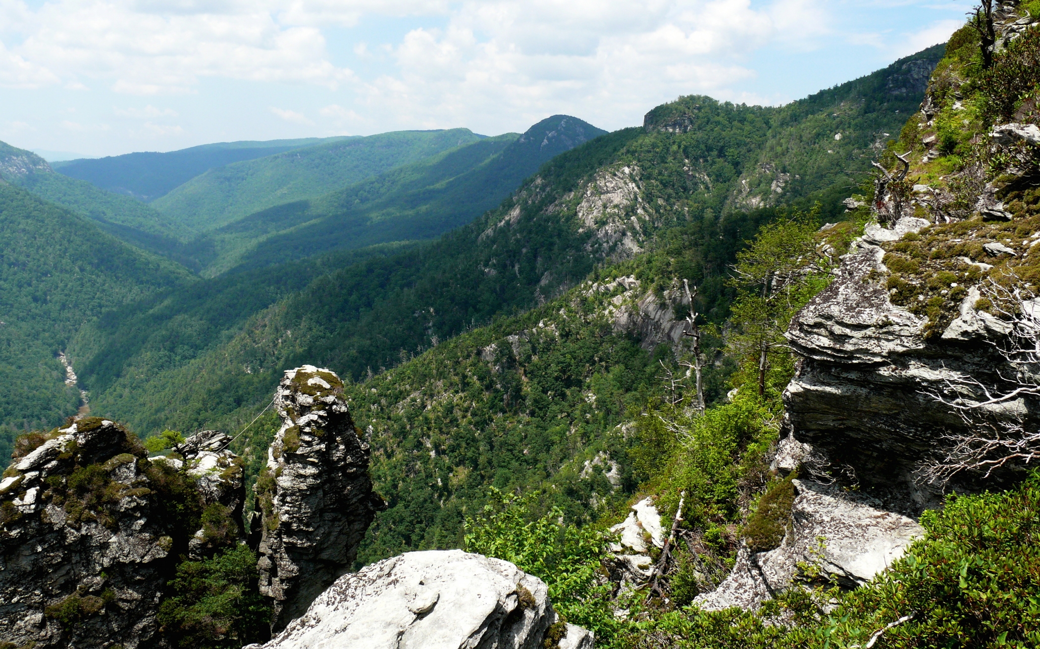 Free download high resolution image - free image free photo free stock image public domain picture -Linville Gorge Wilderness in North Carolina