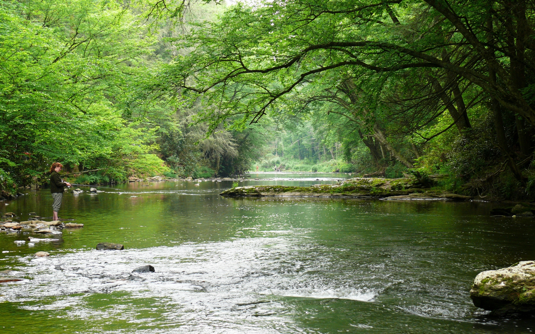 Free download high resolution image - free image free photo free stock image public domain picture -Linville River in western North Carolina