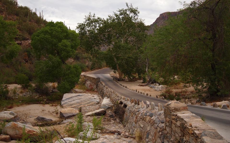 Free download high resolution image - free image free photo free stock image public domain picture  Sabino Canyon Walk