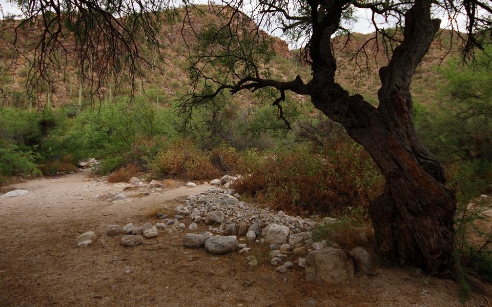 Free download high resolution image - free image free photo free stock image public domain picture  Sabino Canyon of the Santa Catalina Mountains