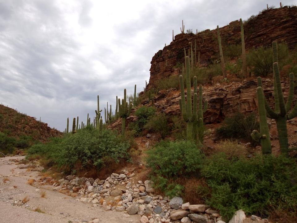 Free download high resolution image - free image free photo free stock image public domain picture  Desert Mountain Landscape in Tucson Arizona