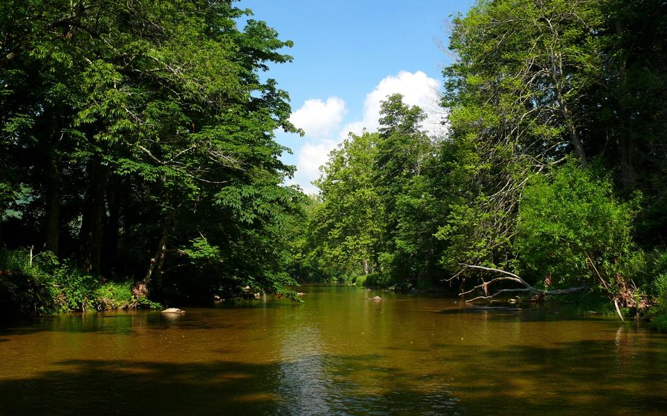 Free download high resolution image - free image free photo free stock image public domain picture  Watauga River in western North Carolina