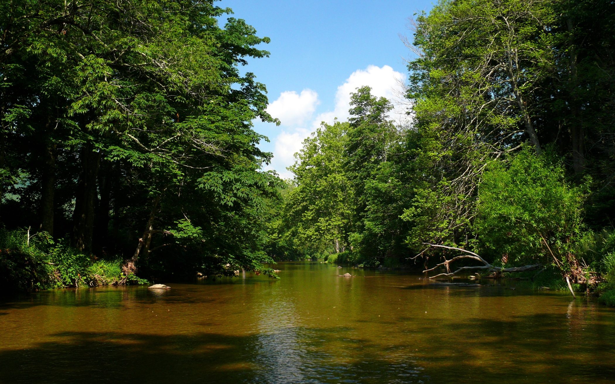 Free download high resolution image - free image free photo free stock image public domain picture -Watauga River in western North Carolina