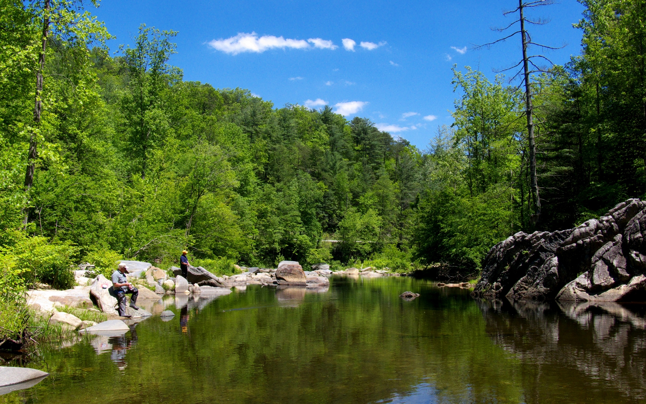 Free download high resolution image - free image free photo free stock image public domain picture -Wilson Creek in Pisgah National Forest