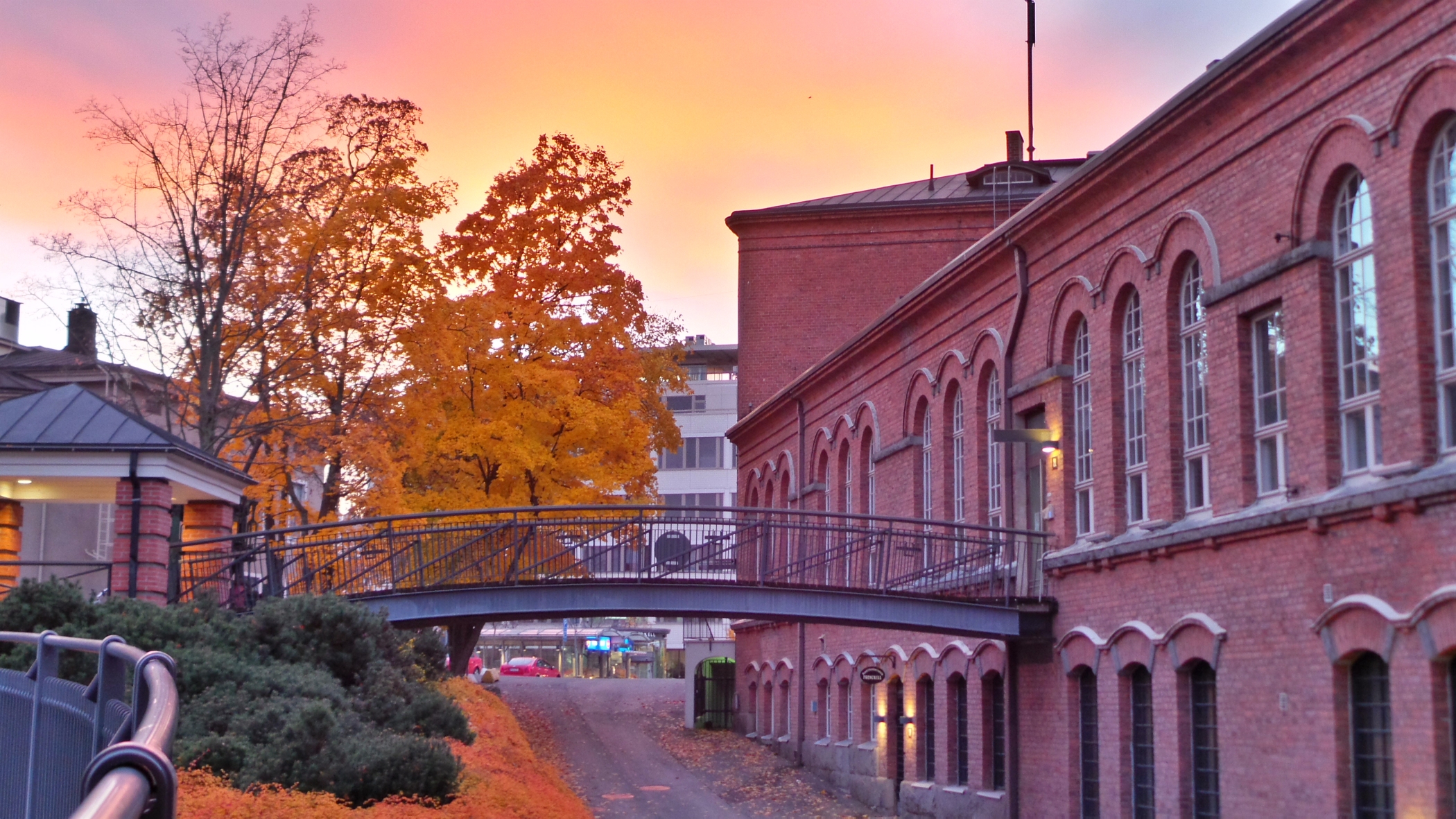 Free download high resolution image - free image free photo free stock image public domain picture -Walkway on a  Autumn