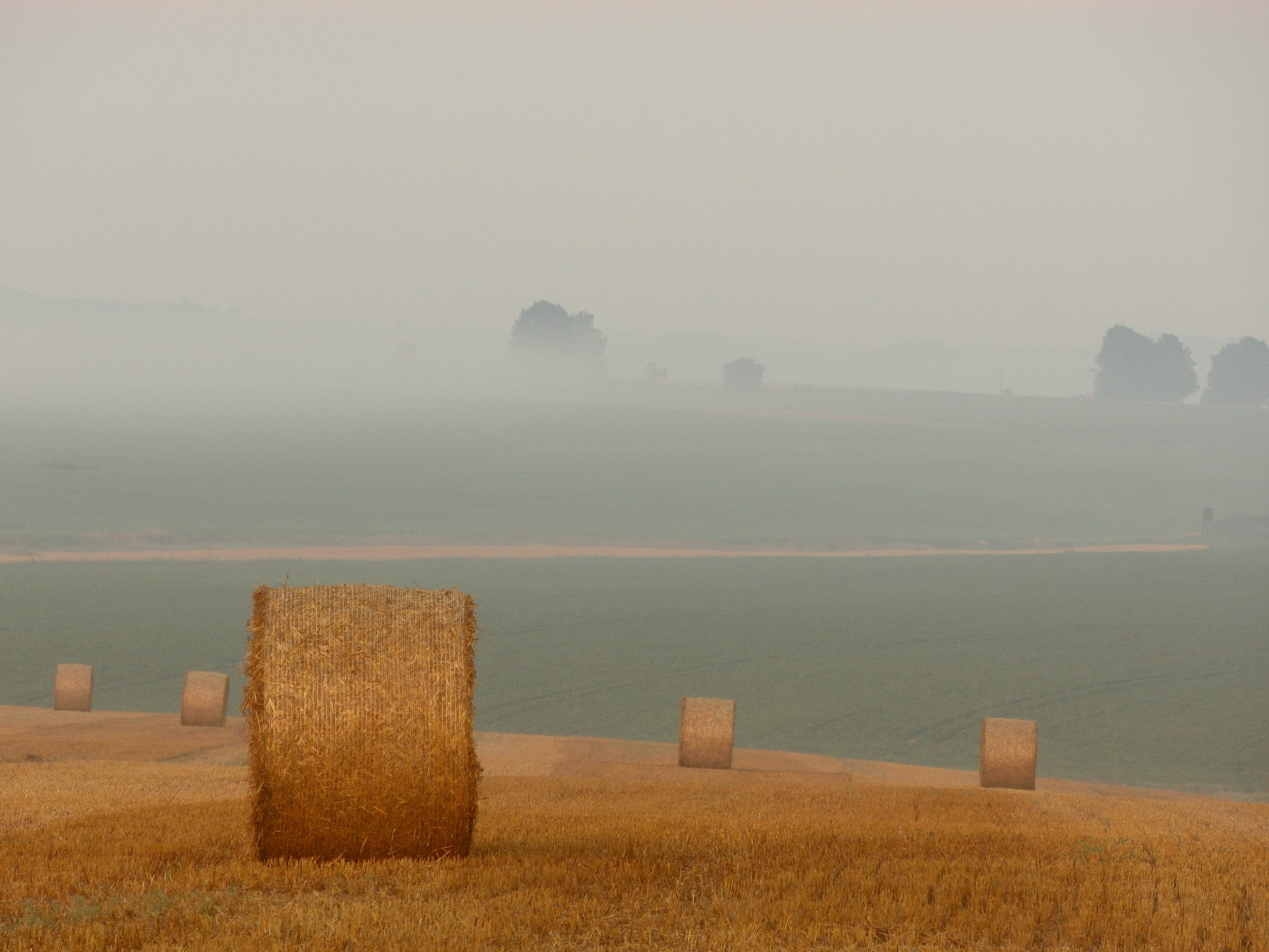 Free download high resolution image - free image free photo free stock image public domain picture -stack of straw on the mown field