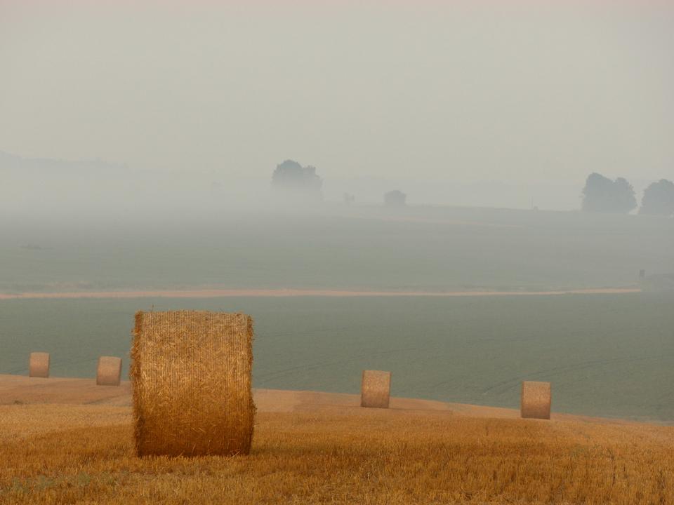 Free download high resolution image - free image free photo free stock image public domain picture  stack of straw on the mown field