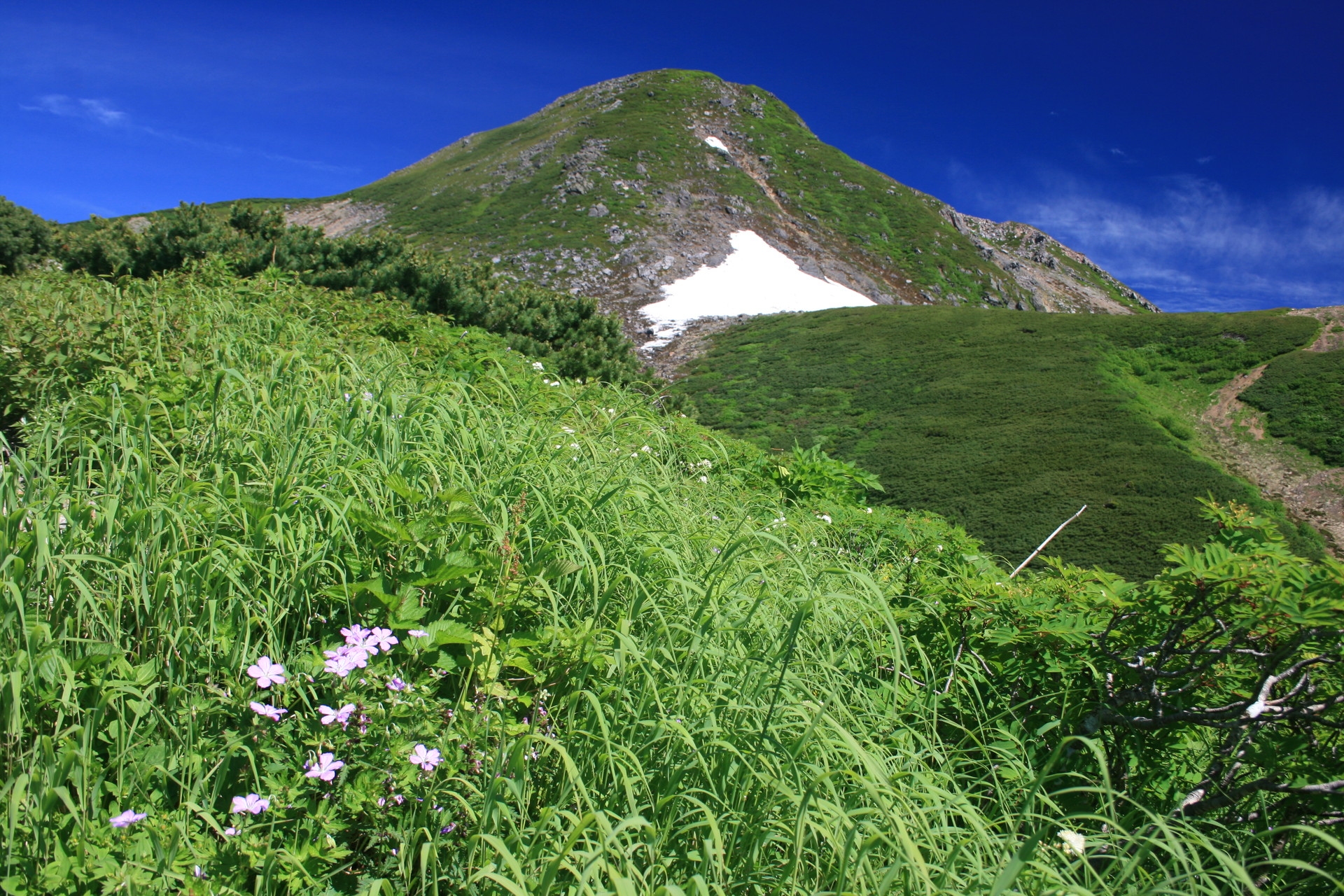 Free download high resolution image - free image free photo free stock image public domain picture -Summer mountain, Shirakawa-go, Japan