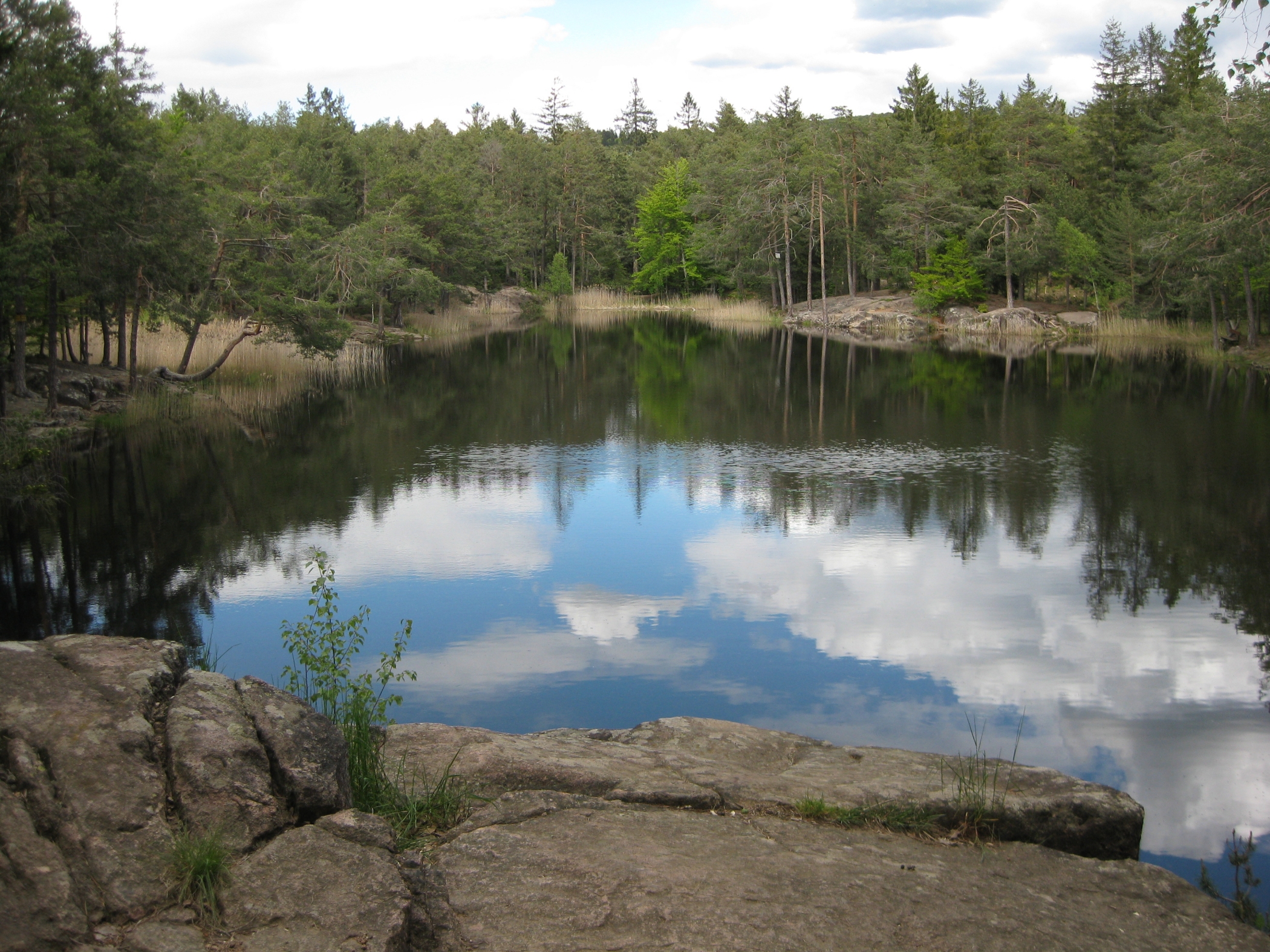 Free download high resolution image - free image free photo free stock image public domain picture -Pond surrounded by trees, which are mirrored on the surface