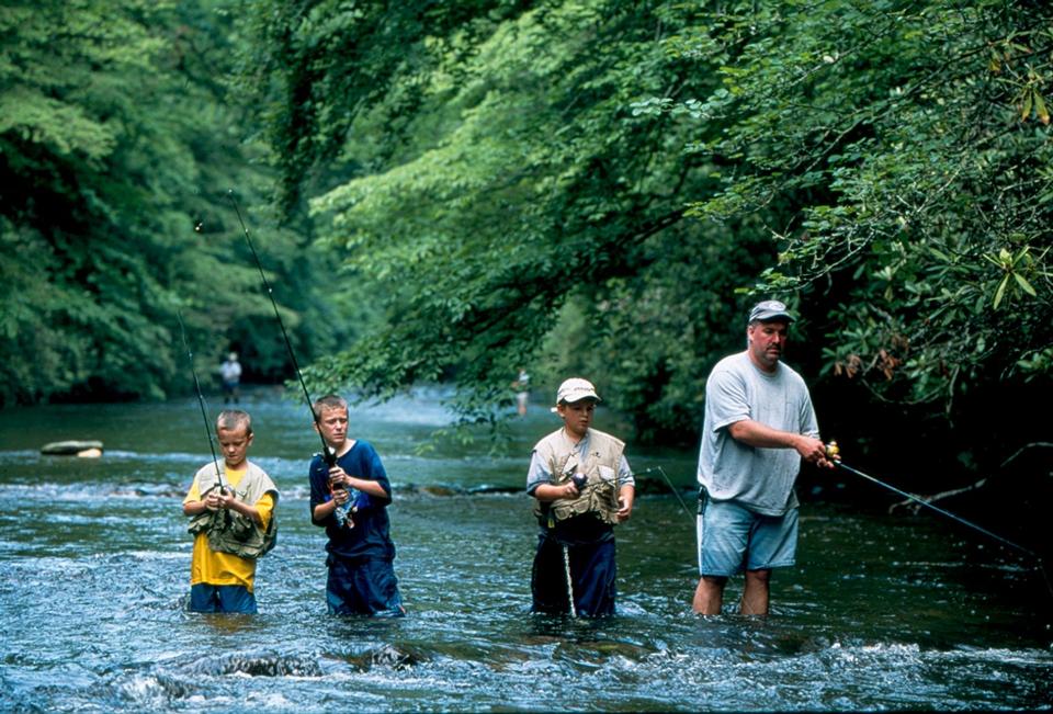 Free download high resolution image - free image free photo free stock image public domain picture  Davidson River in the Pisgah National Forest