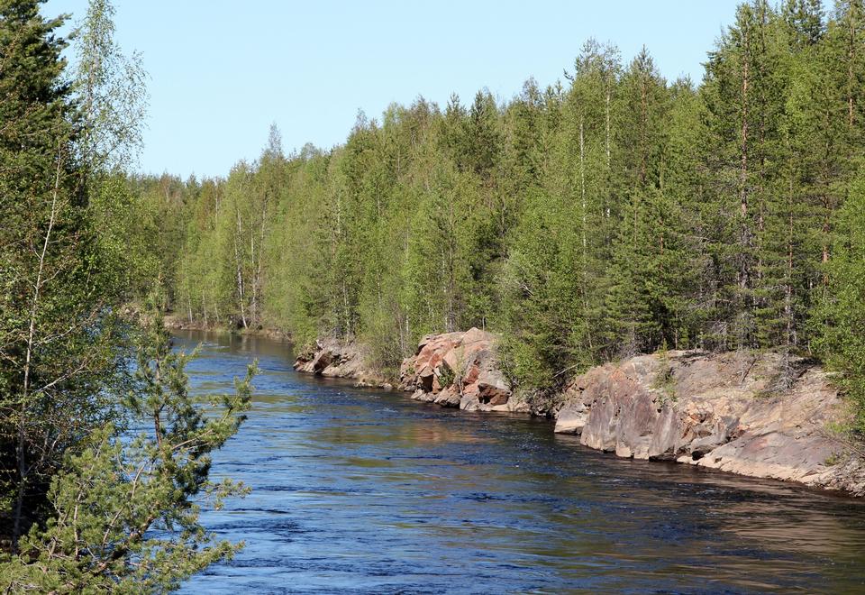 Free download high resolution image - free image free photo free stock image public domain picture  Trees in the water of a lake, Finland