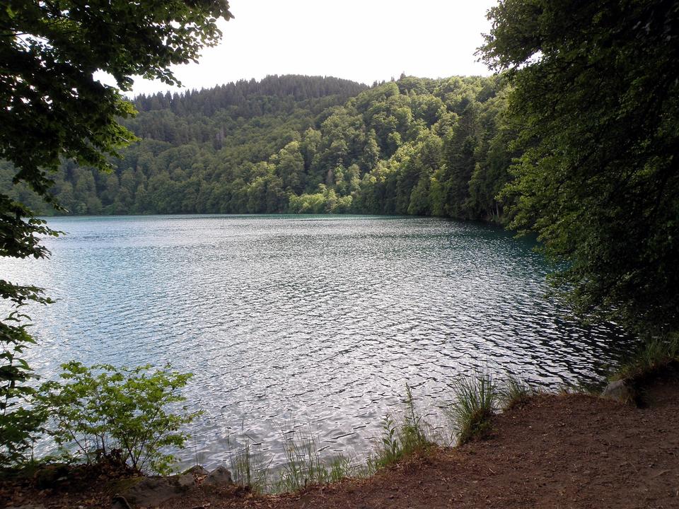 Free download high resolution image - free image free photo free stock image public domain picture  Lac Pavin Lake in France