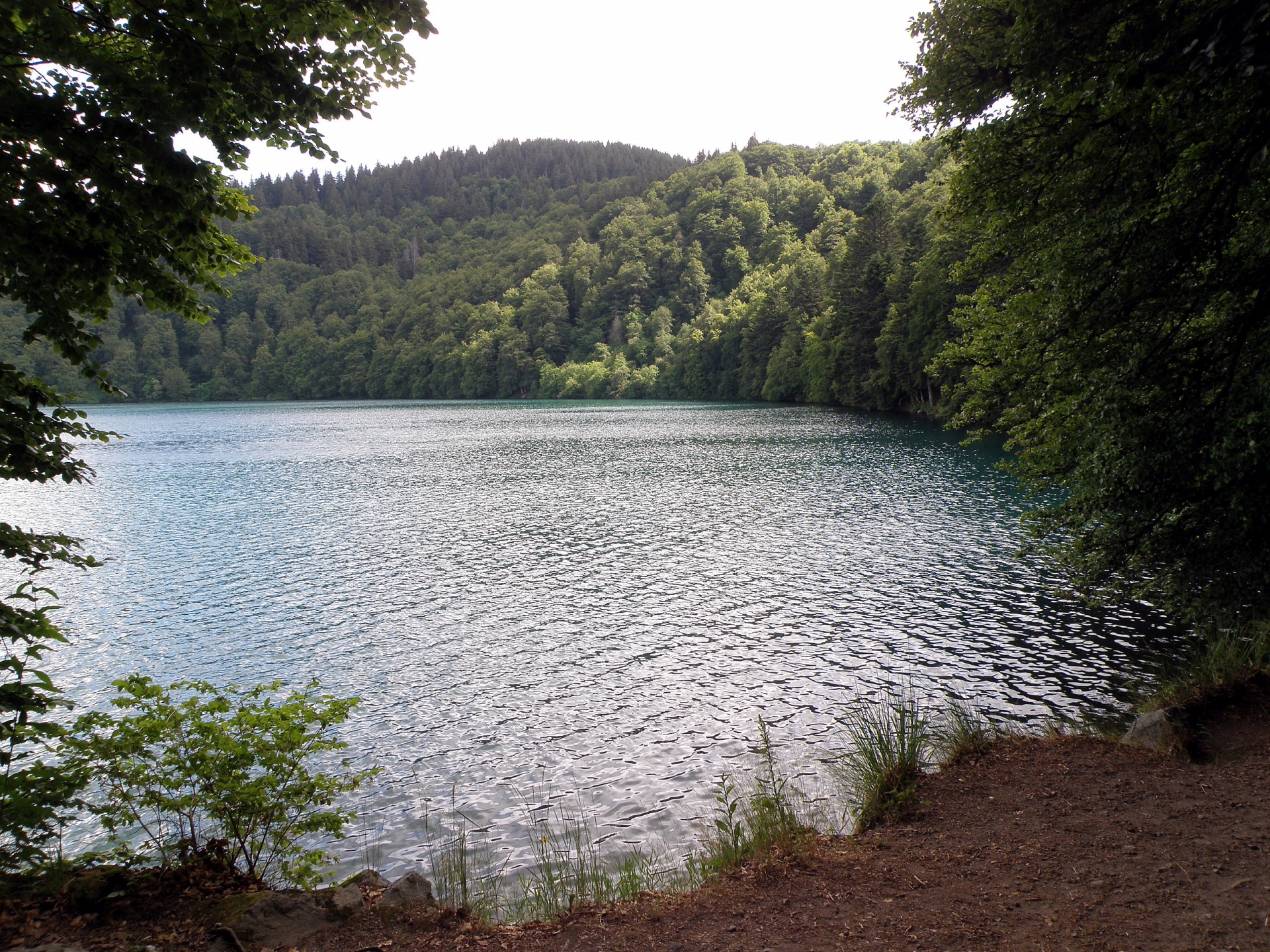 Free download high resolution image - free image free photo free stock image public domain picture -Lac Pavin Lake in France