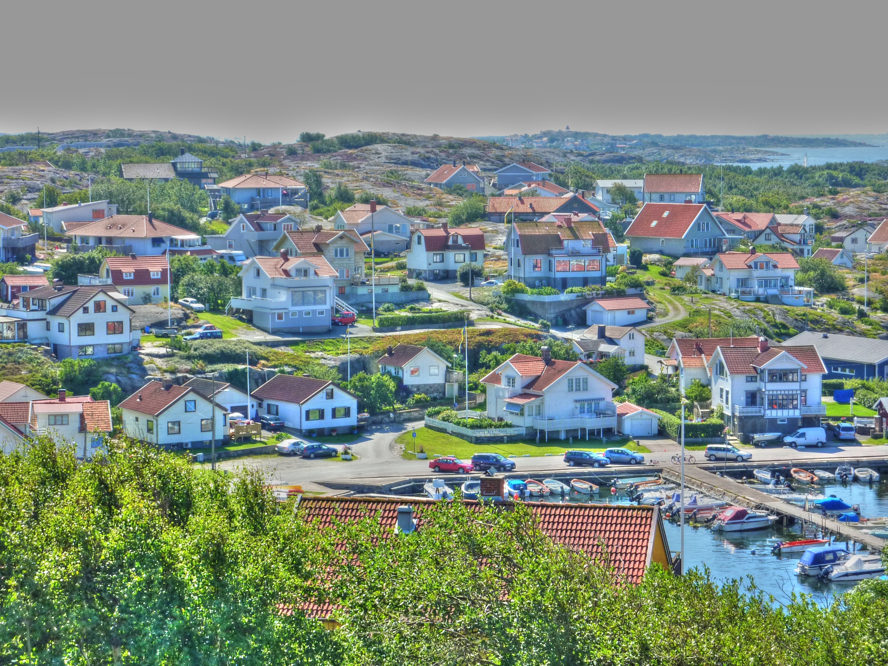 Free download high resolution image - free image free photo free stock image public domain picture -Small Village Birch Island in Sweden