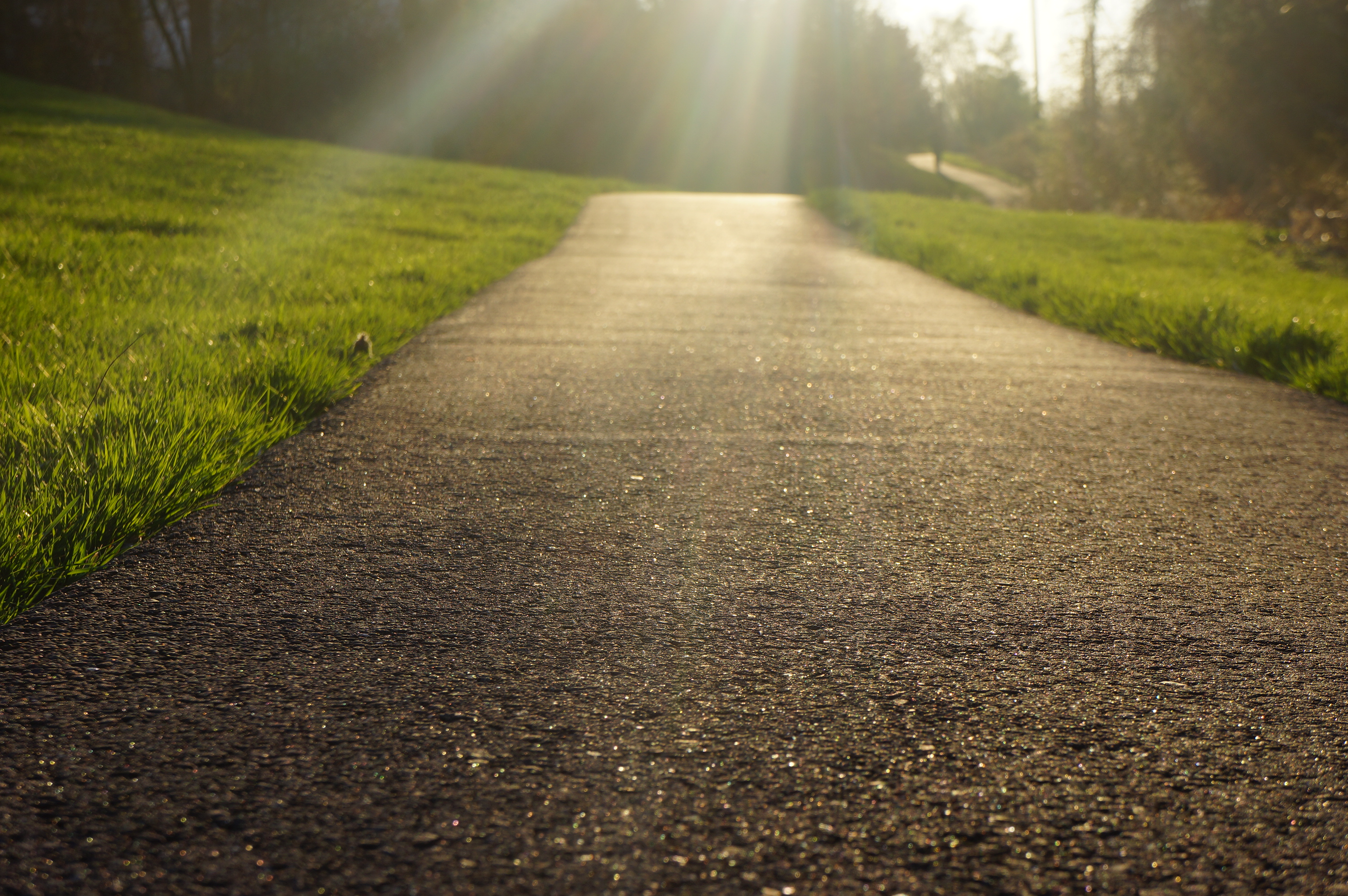 Free download high resolution image - free image free photo free stock image public domain picture -Dreamy enchanting path in the Grass