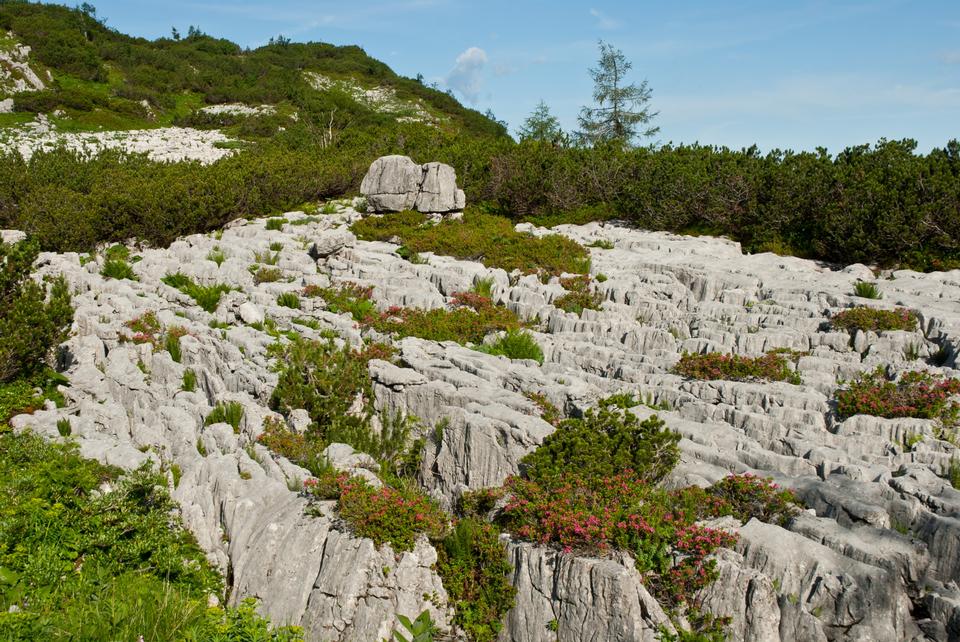 Free download high resolution image - free image free photo free stock image public domain picture  Limestone rocks in alps mountains