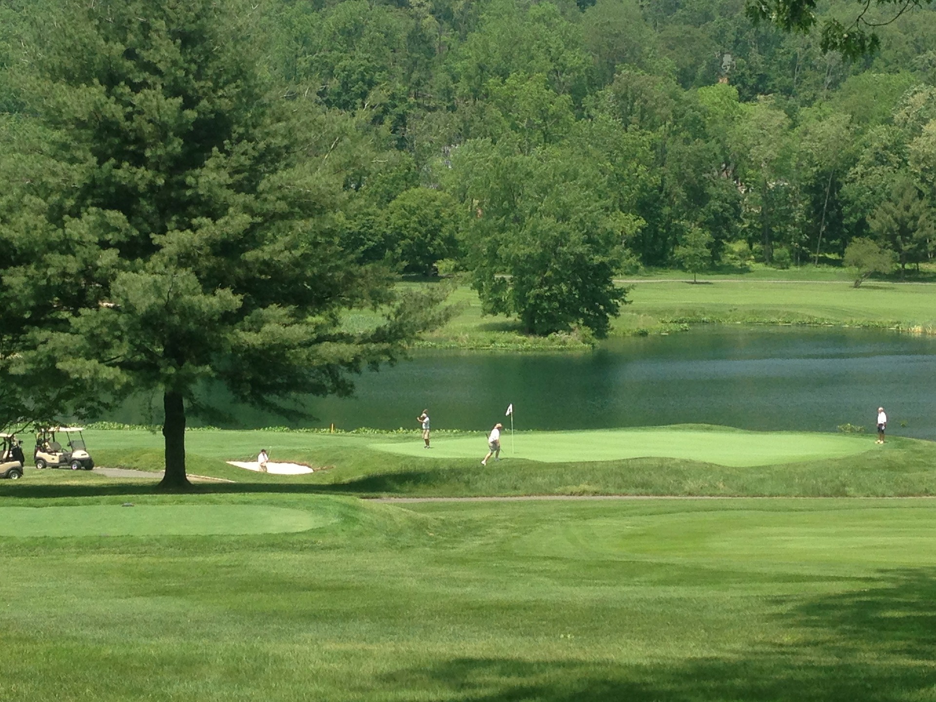 Free download high resolution image - free image free photo free stock image public domain picture -Golf course with gorgeous green and pond