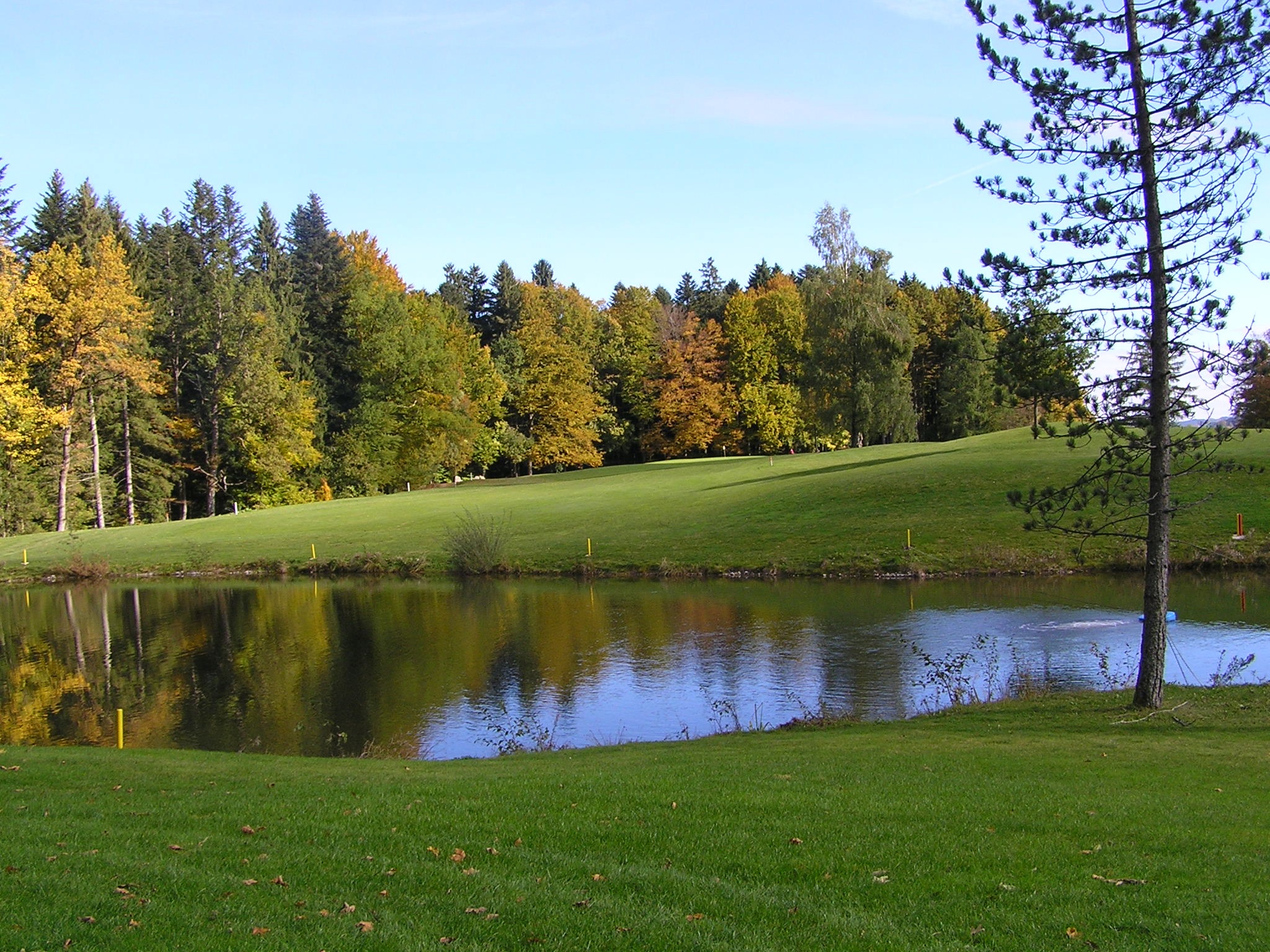 Free download high resolution image - free image free photo free stock image public domain picture -Golf course with gorgeous green and pond