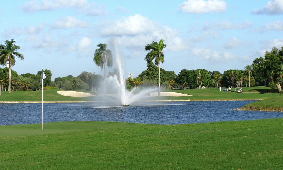 Free download high resolution image - free image free photo free stock image public domain picture  Golf course with tropical palm trees and landscaped grass