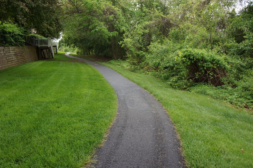 Free download high resolution image - free image free photo free stock image public domain picture  Scenic road through green forest