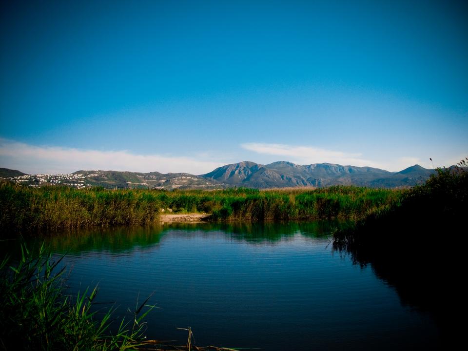 Free download high resolution image - free image free photo free stock image public domain picture  Pego-Oliva Marsh Nature Reserve in Spain