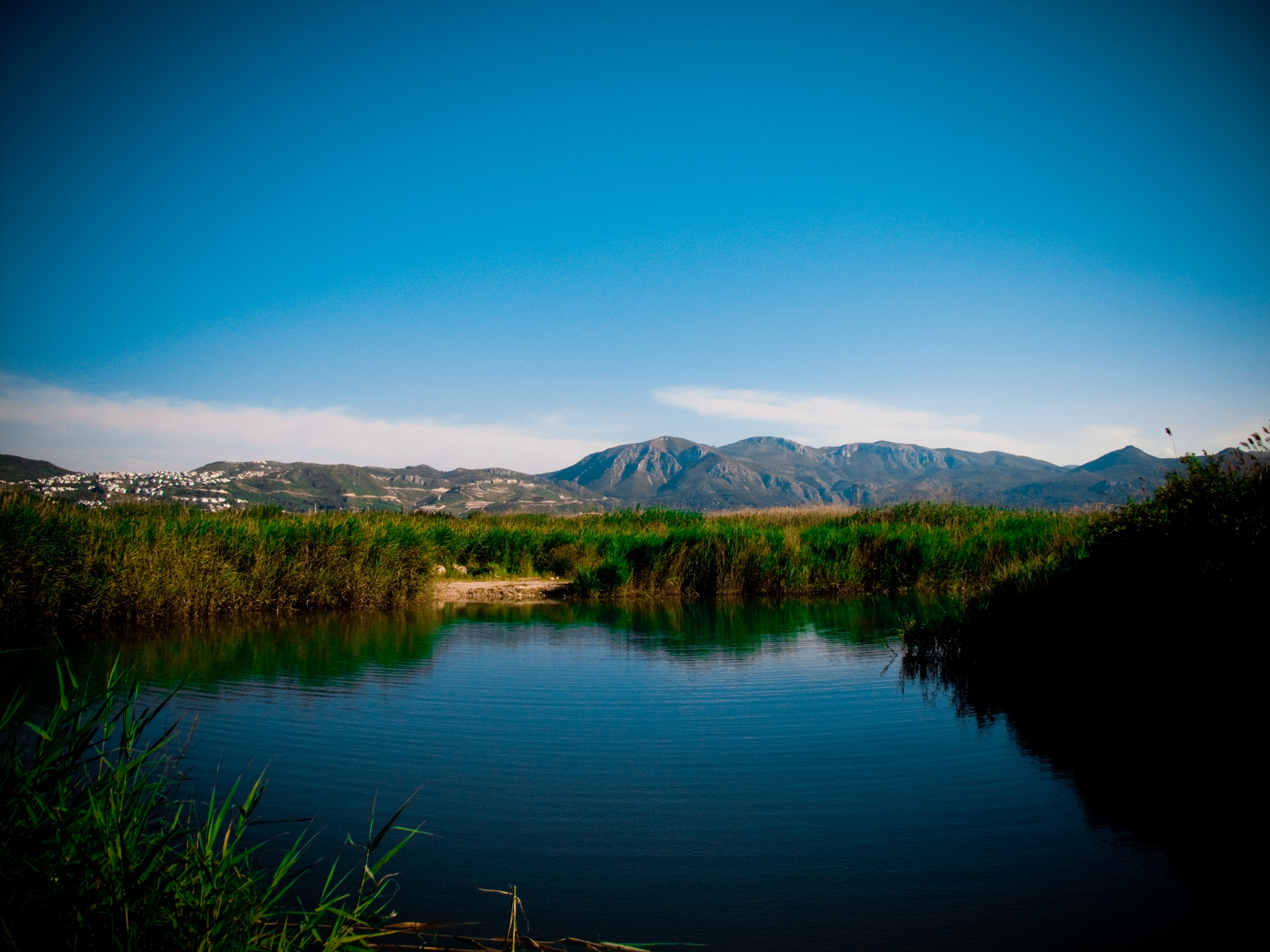 Free download high resolution image - free image free photo free stock image public domain picture -Pego-Oliva Marsh Nature Reserve in Spain