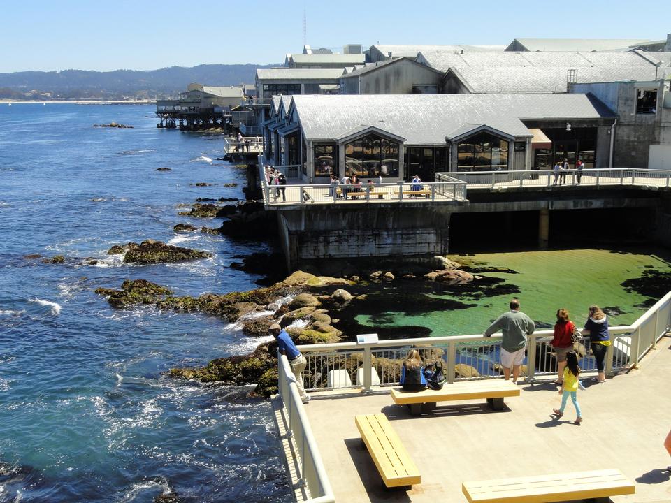 Free download high resolution image - free image free photo free stock image public domain picture  Monterey Bay Aquarium, Monterey California