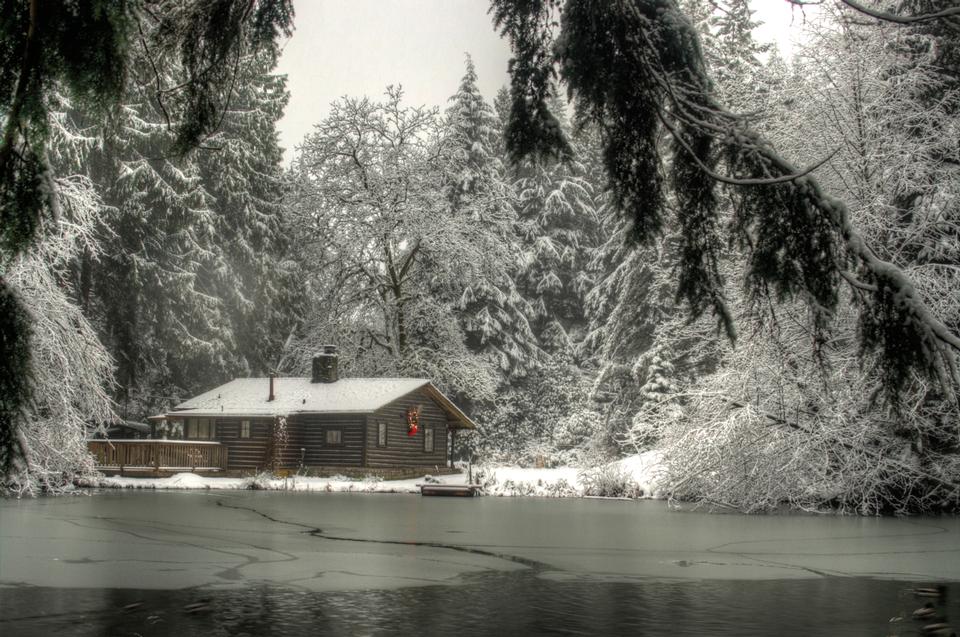 Free download high resolution image - free image free photo free stock image public domain picture  Murdo Frazer Park in Vancouver, BC, Canada