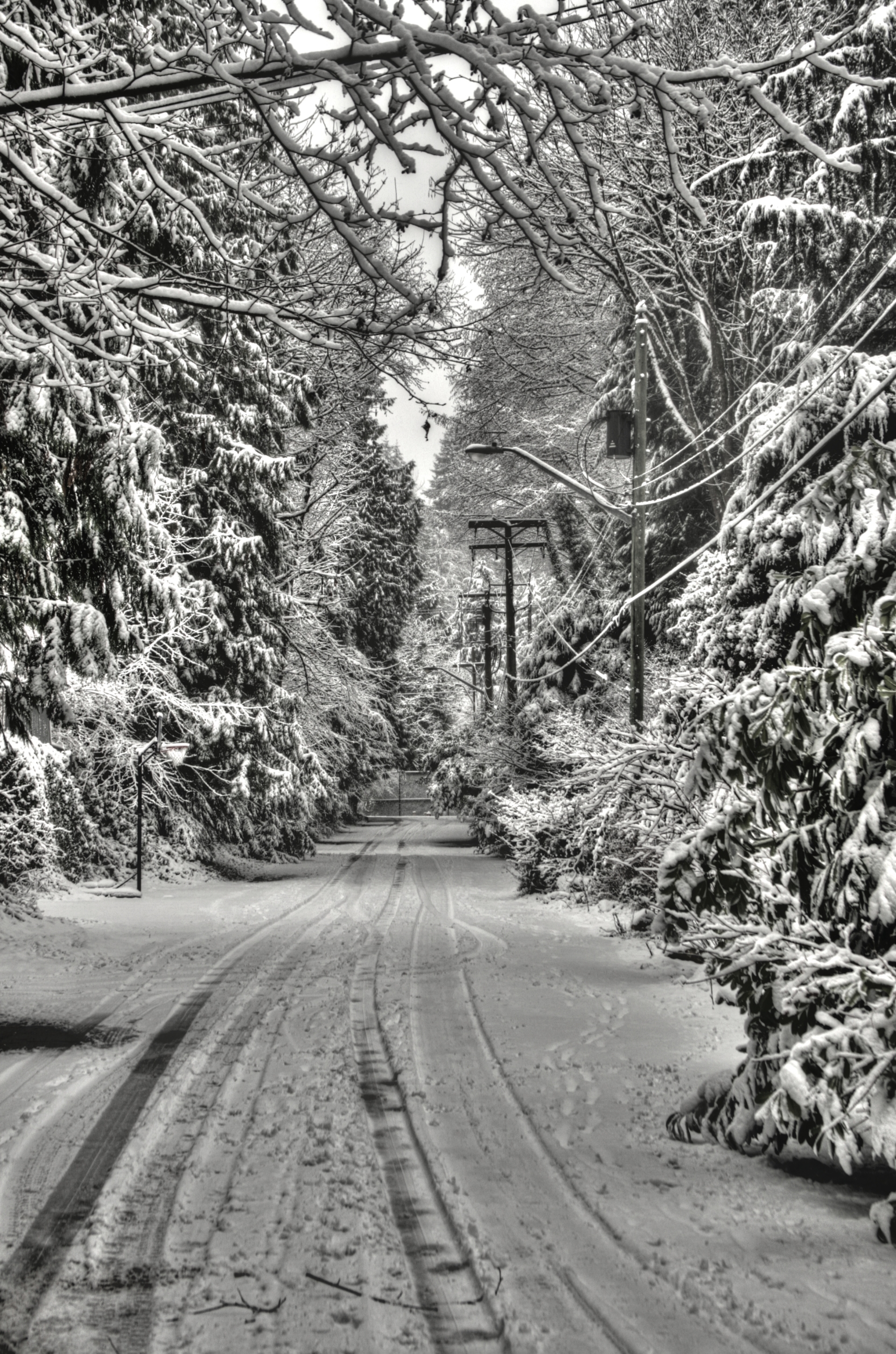 Free download high resolution image - free image free photo free stock image public domain picture -Murdo Frazer Park in Vancouver, British Columbia, Canada