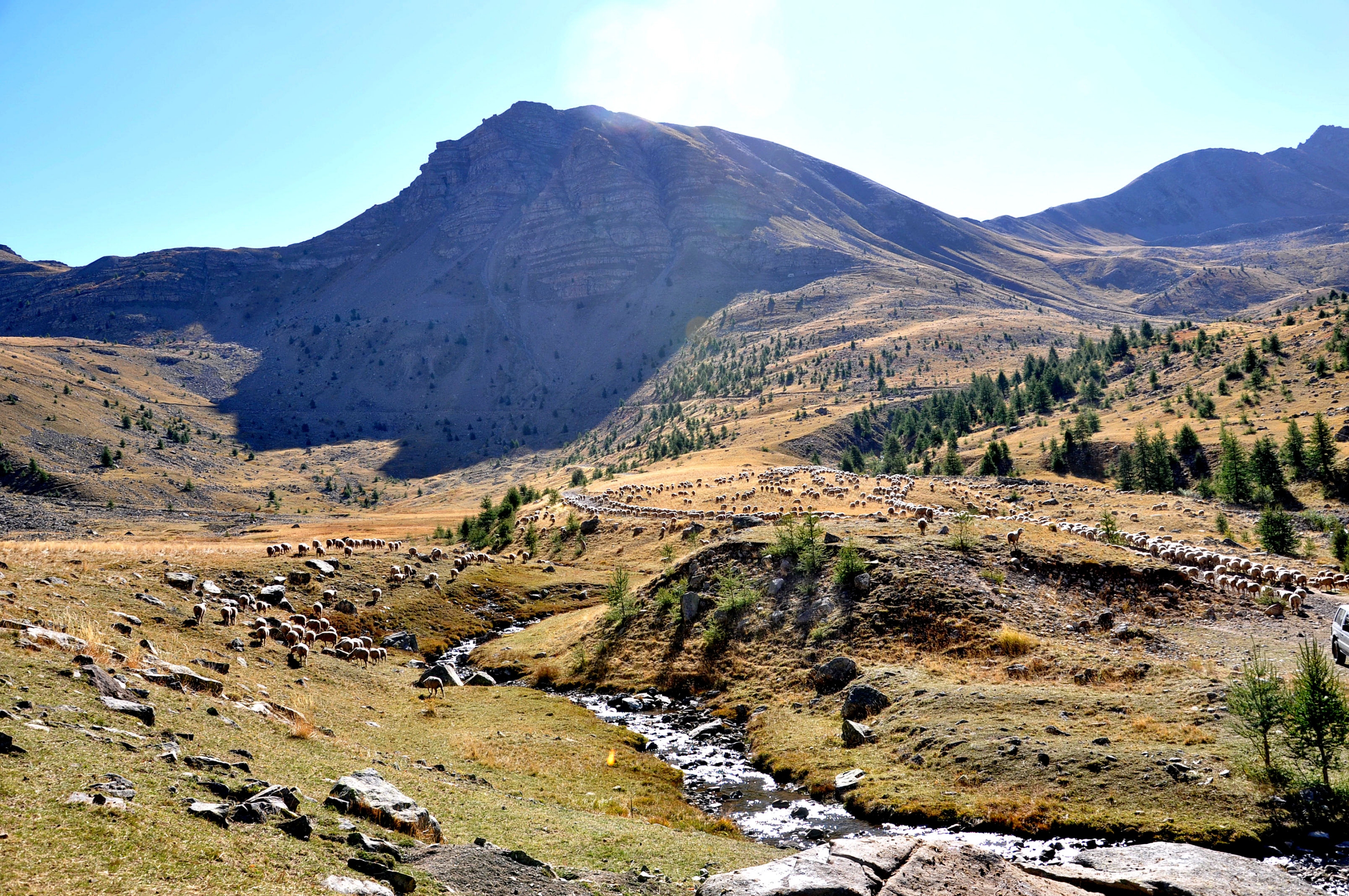 Free download high resolution image - free image free photo free stock image public domain picture -Rural landscape with sheeps in mountains