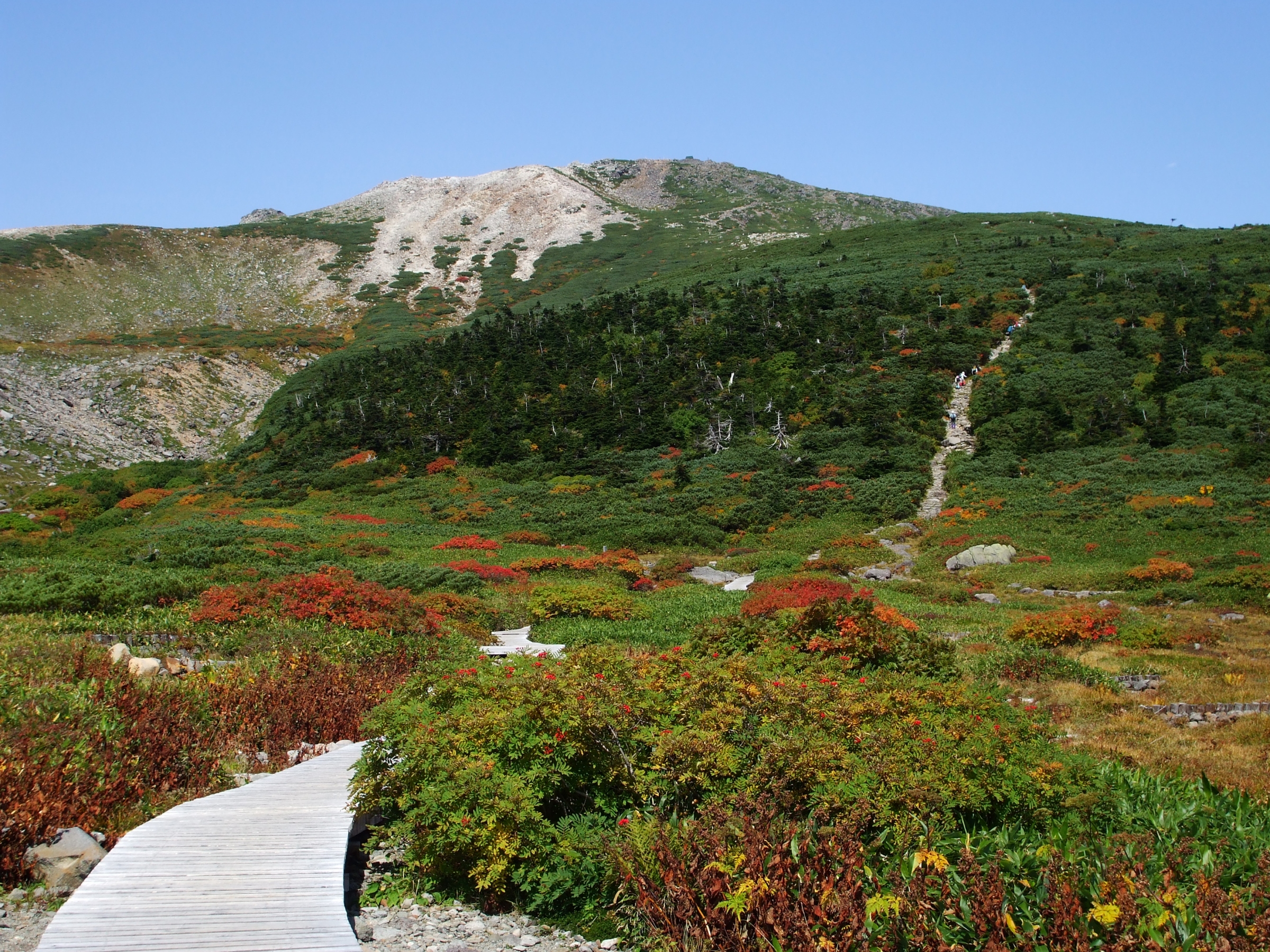 Free download high resolution image - free image free photo free stock image public domain picture -Mount Haku Autumn