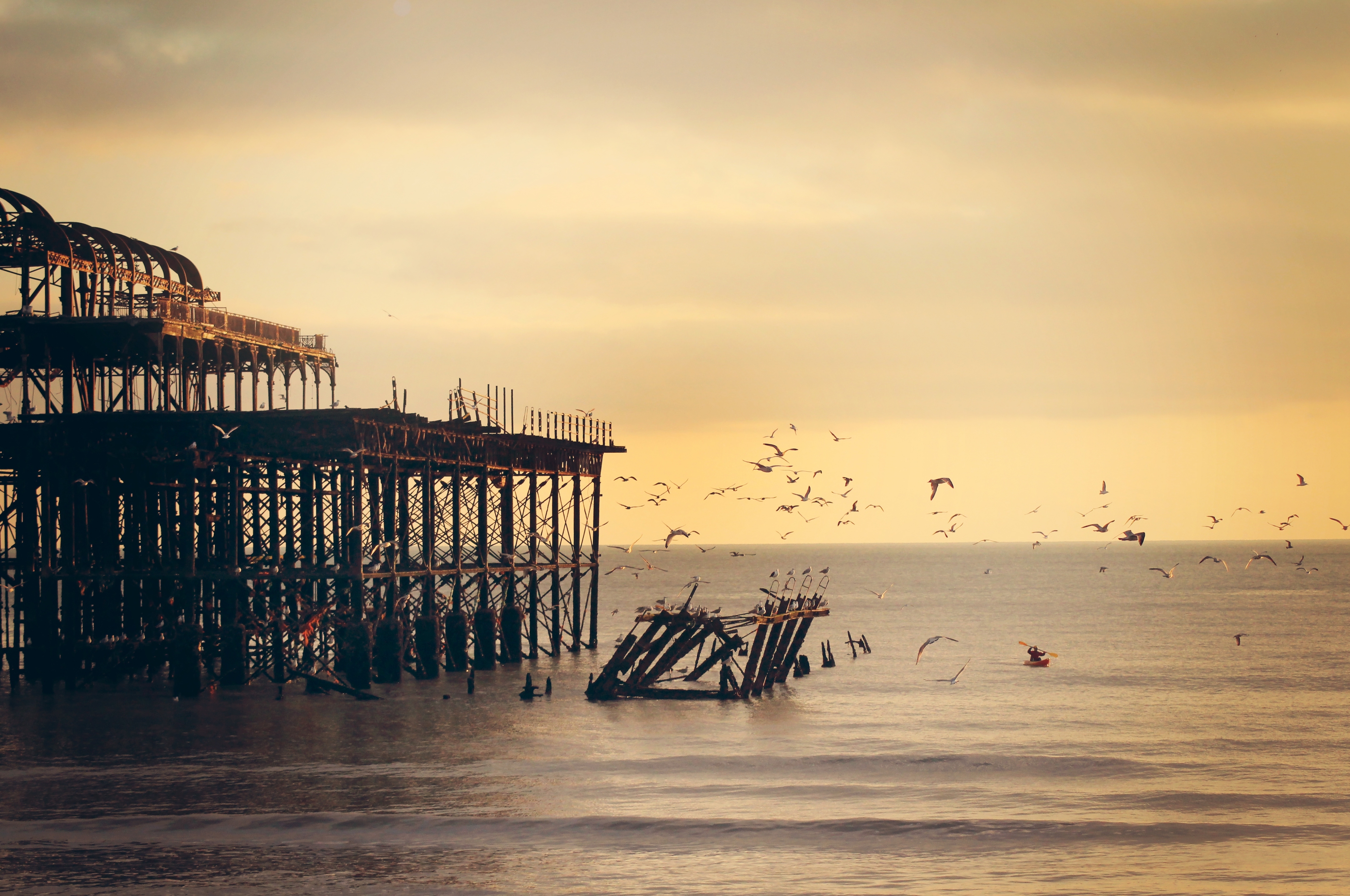 Free download high resolution image - free image free photo free stock image public domain picture -ruins of a pier or dock with seagulls