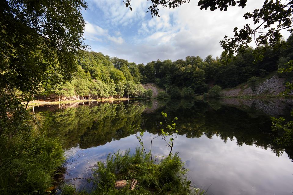 Free download high resolution image - free image free photo free stock image public domain picture  Landscape with trees, reflecting in the water