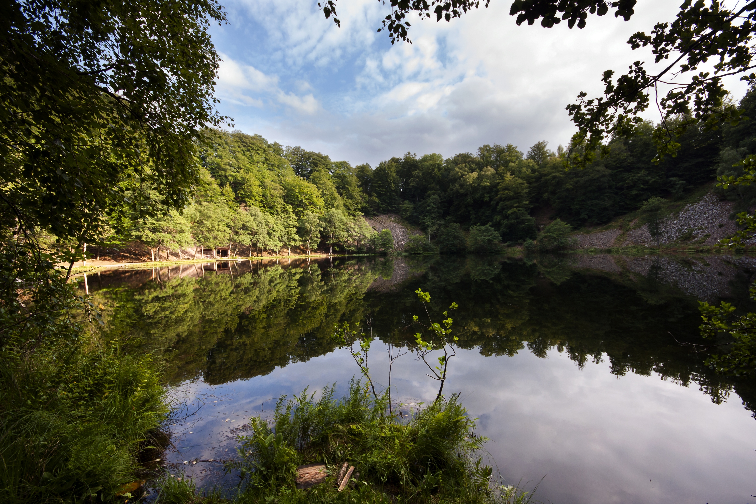 Free download high resolution image - free image free photo free stock image public domain picture -Landscape with trees, reflecting in the water