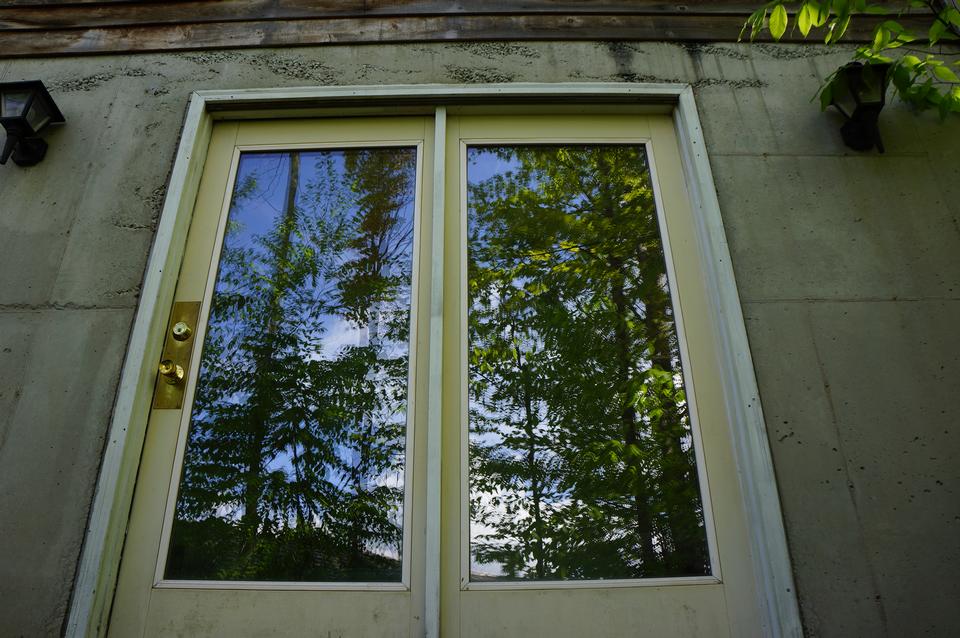 Free download high resolution image - free image free photo free stock image public domain picture  Break into leaf of tree being reflected in a window