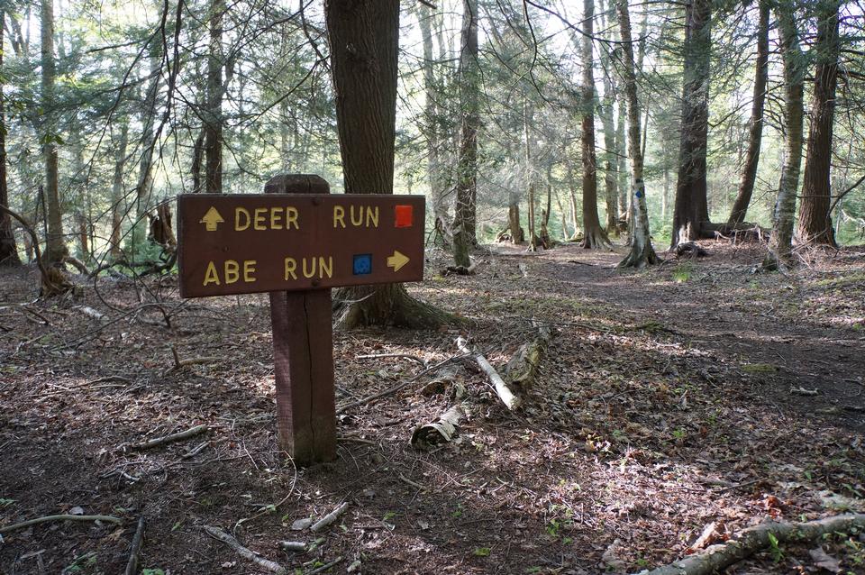 Free download high resolution image - free image free photo free stock image public domain picture  Sign Deer Run Trail Canaan Valley, West Virginia