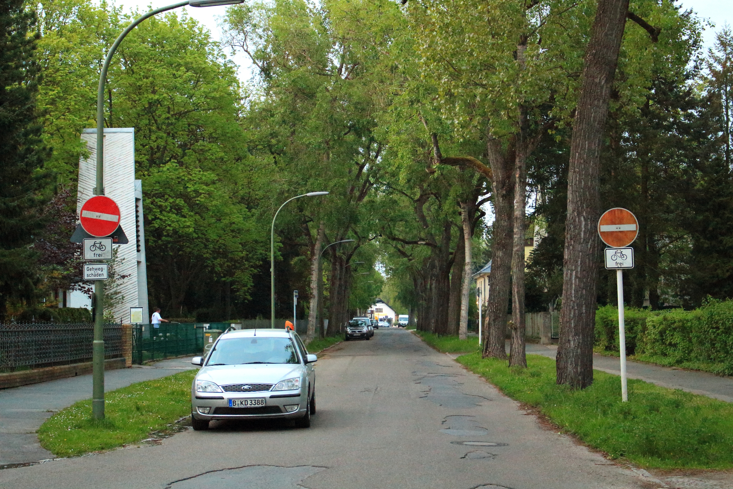 Free download high resolution image - free image free photo free stock image public domain picture -tree covered street