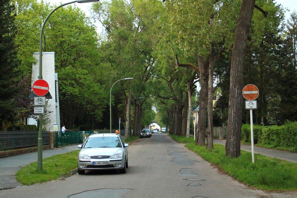 Free download high resolution image - free image free photo free stock image public domain picture  tree covered street