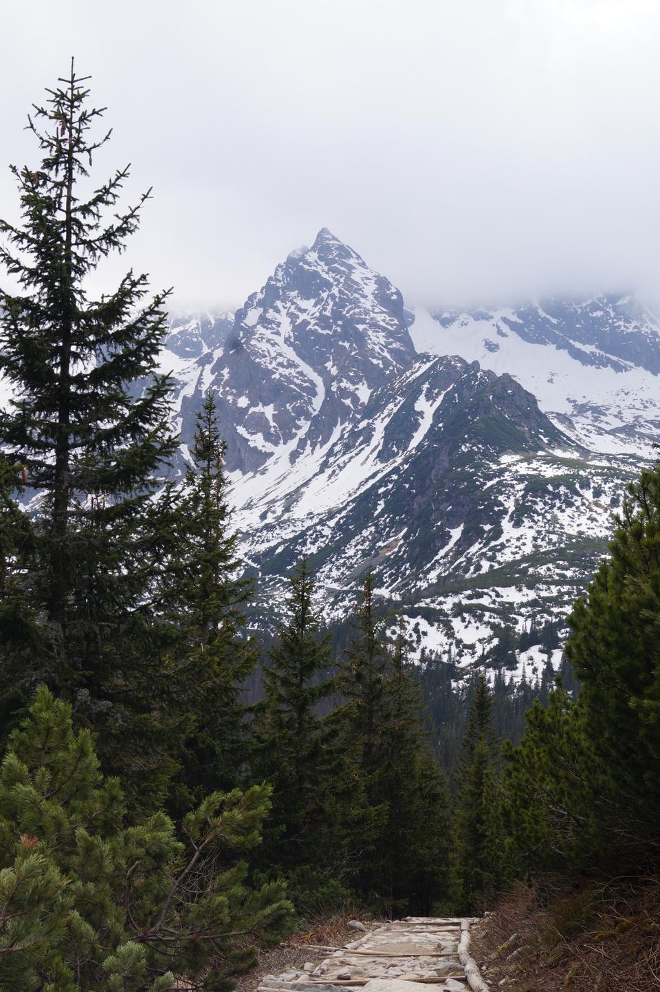 Free download high resolution image - free image free photo free stock image public domain picture  Koscielec, Tatra Mountains National Park, Poland