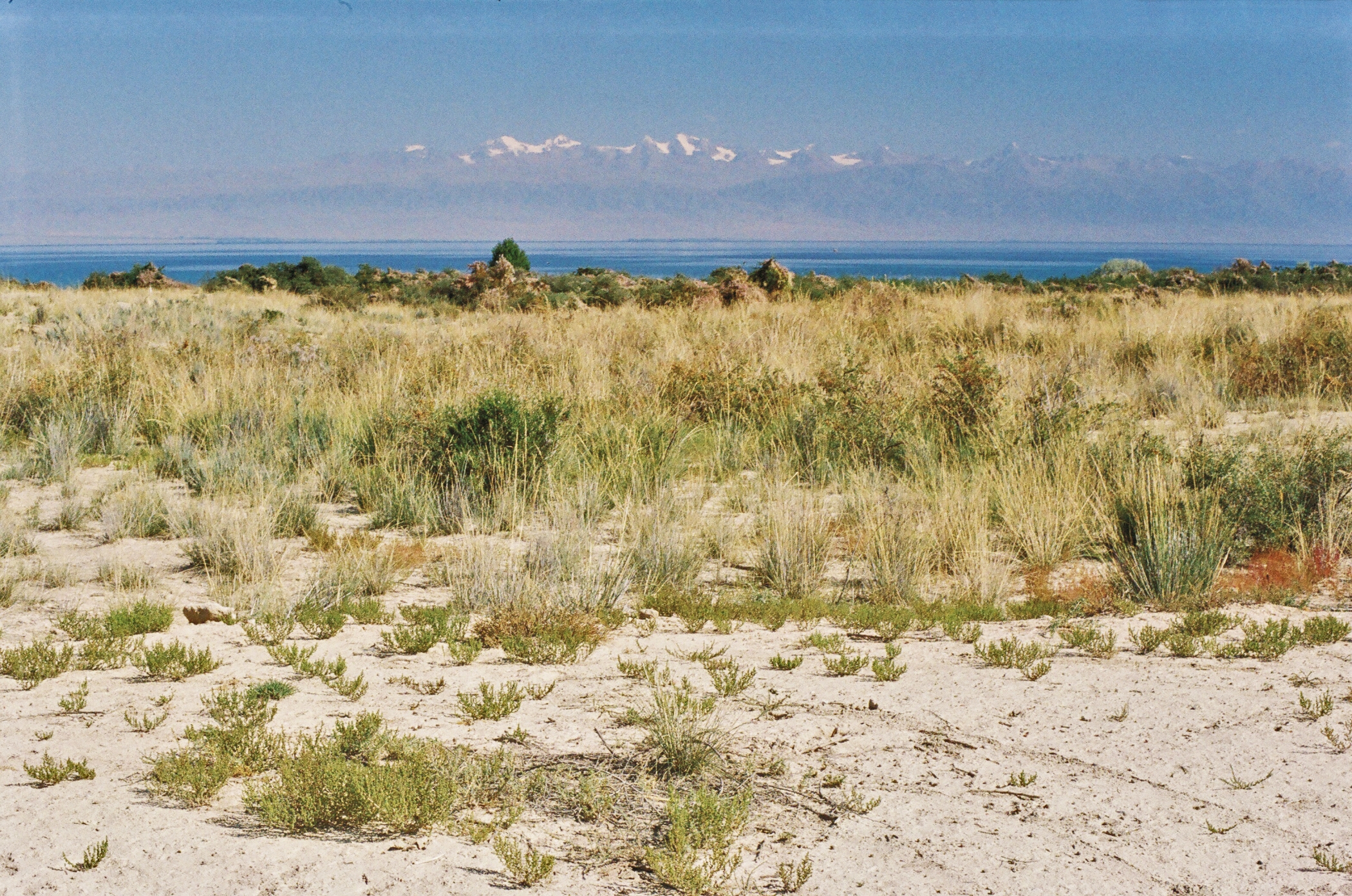 Free download high resolution image - free image free photo free stock image public domain picture -Issyk Kul endorheic lake in the northern Tian Shan mountains