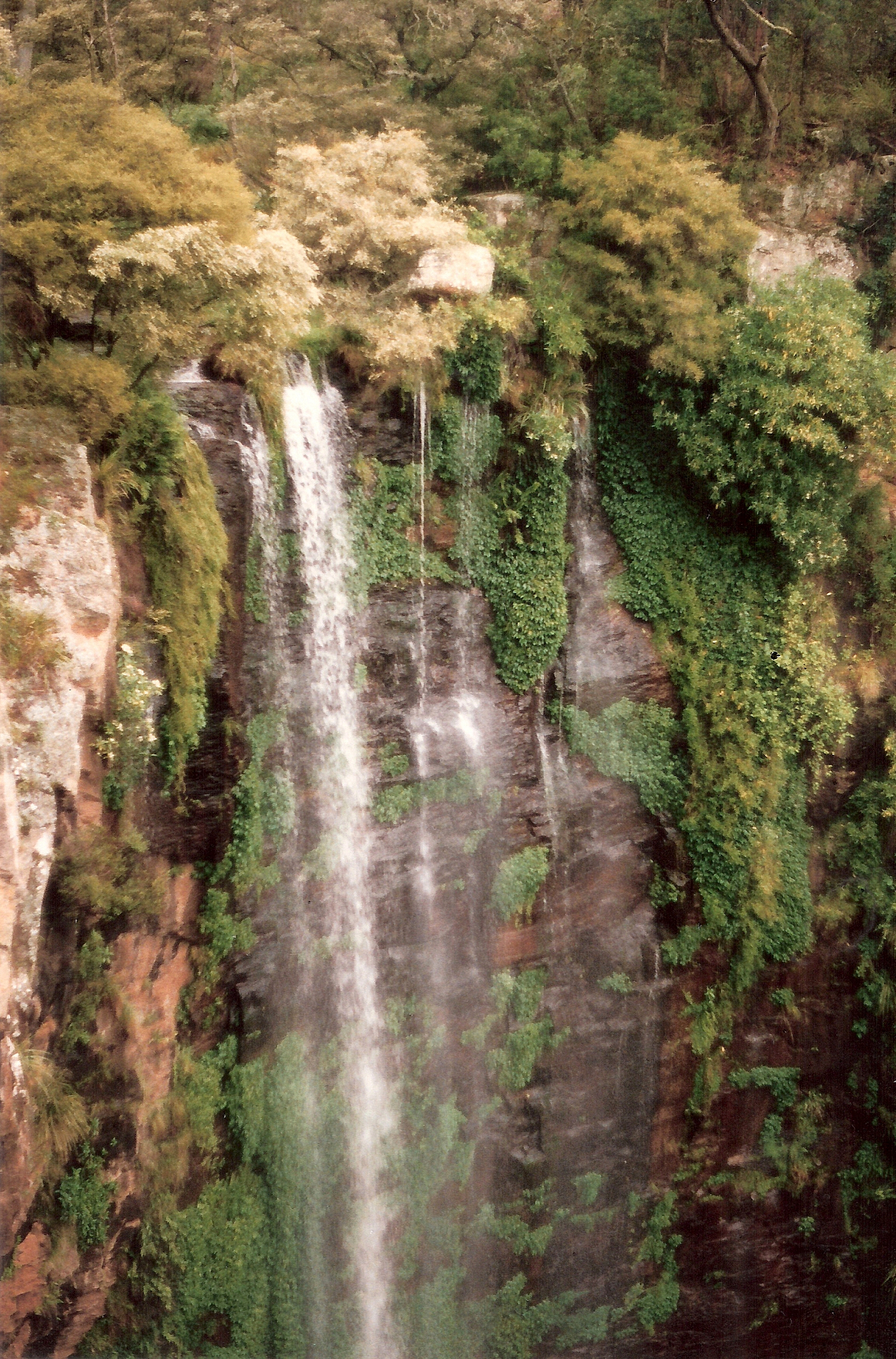 Free download high resolution image - free image free photo free stock image public domain picture -Queen Mary Falls