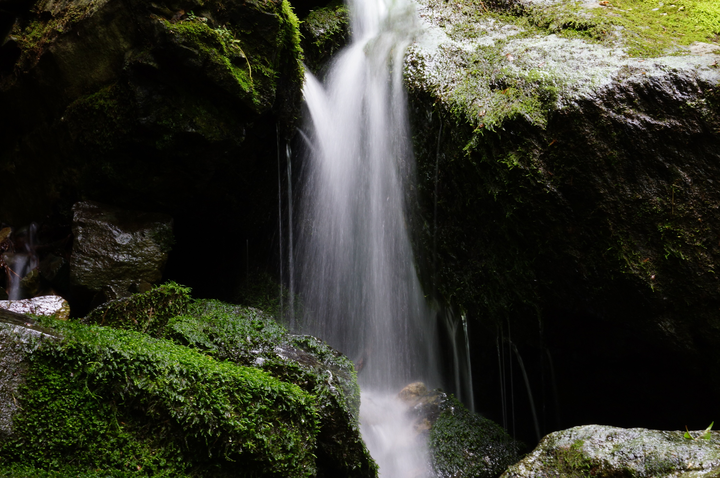 Free download high resolution image - free image free photo free stock image public domain picture -small mountain stream