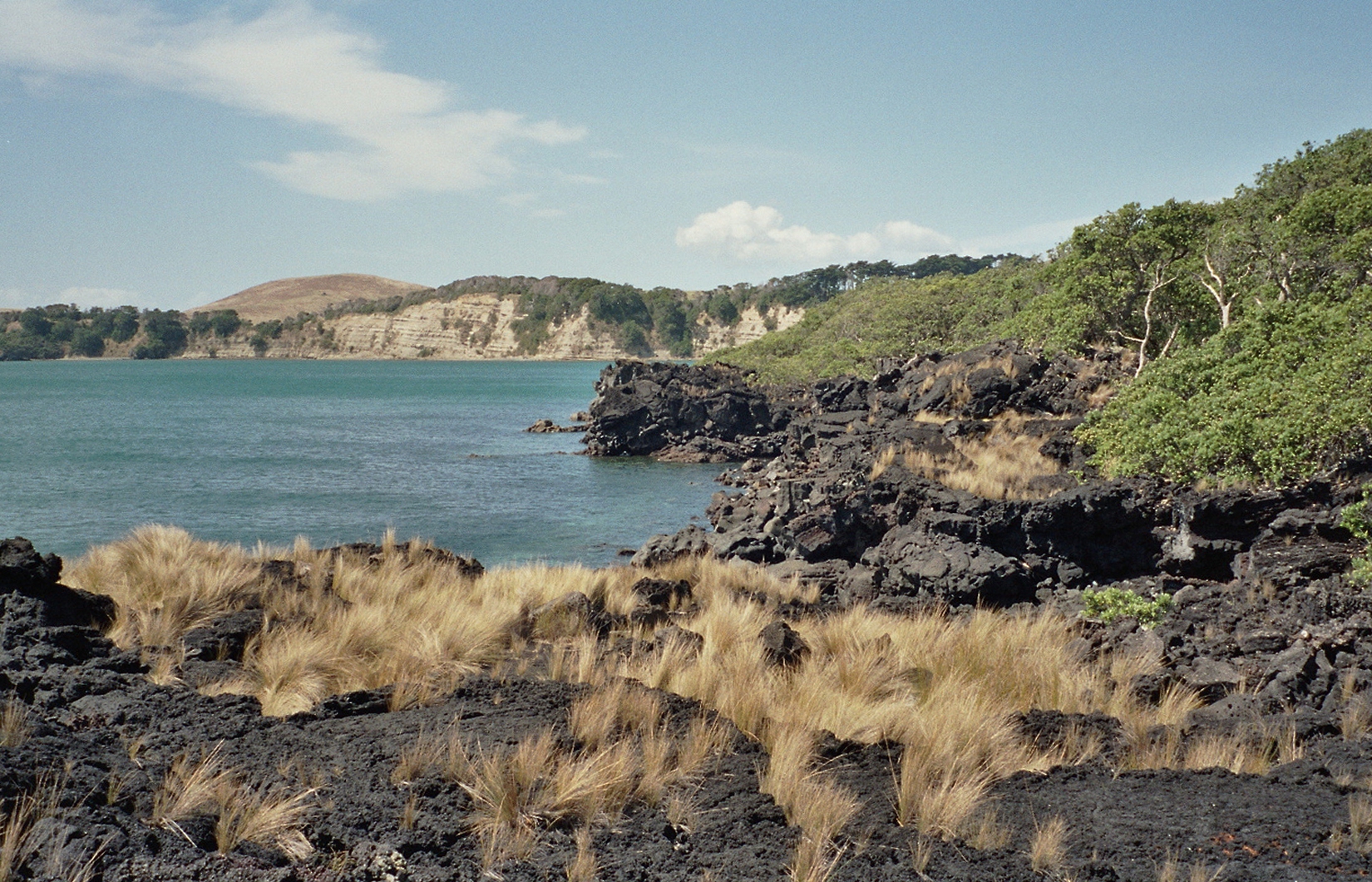 Free download high resolution image - free image free photo free stock image public domain picture -Lava beach on Rangitoto Island with Motutapu Island