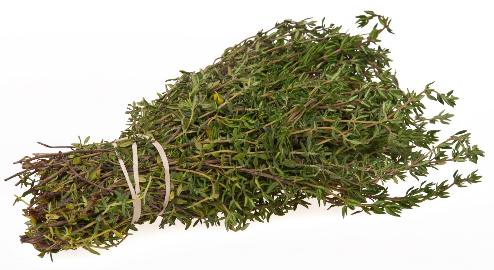 Free download high resolution image - free image free photo free stock image public domain picture -Fresh thyme herb on white background