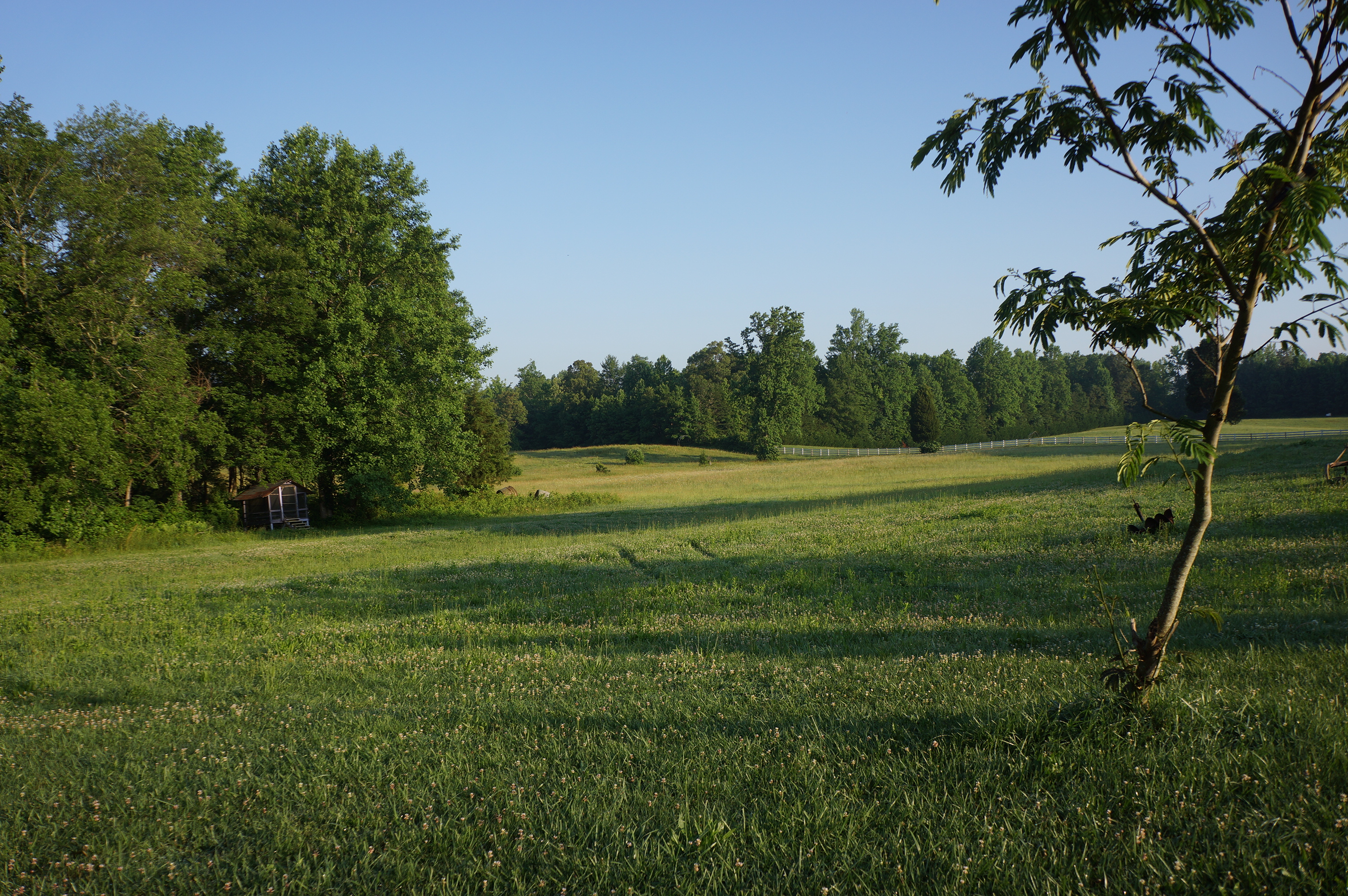 Free download high resolution image - free image free photo free stock image public domain picture -Green pasture with blue sky